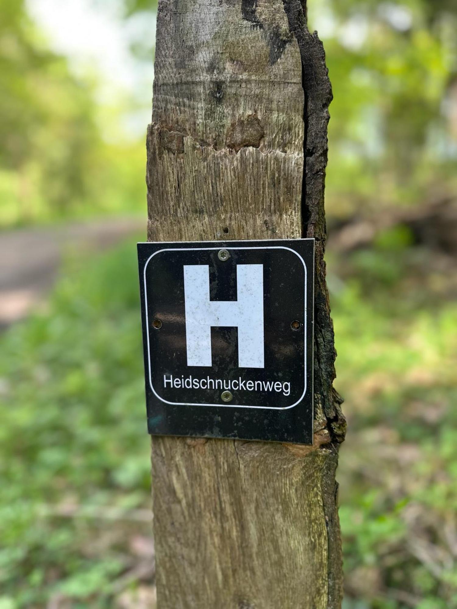 졸타우 Traumhaftes Anwesen In Der Lueneburger Heide 아파트 외부 사진